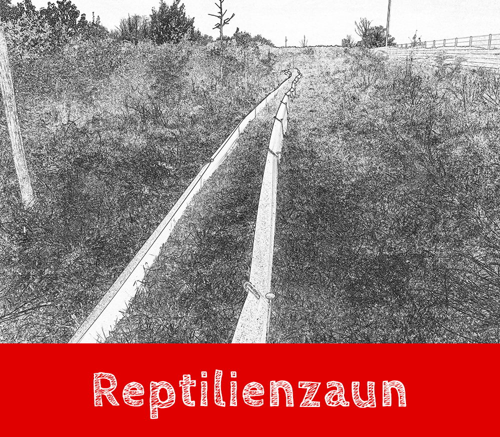 Handgezeichneter Reptilienschutzzaun mit Beschriftung
