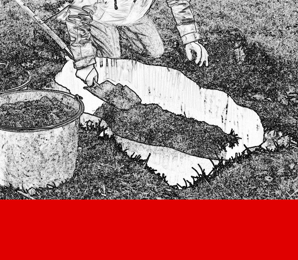 Handgezeichnete Wurzelsperre mit Beschriftung
