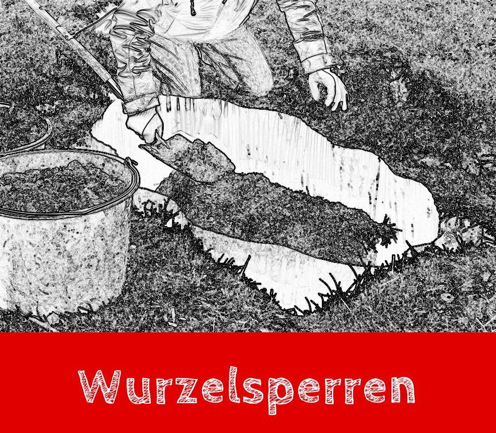 Handgezeichnete Wurzelsperre mit Beschriftung